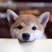 ナオコ