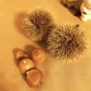 しえんたの画像