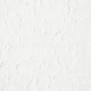 wの画像