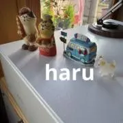 はるの画像