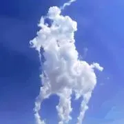 紅茶の画像