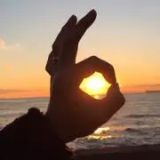 noguの画像