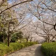 ここ♡プロフ必読‼の画像