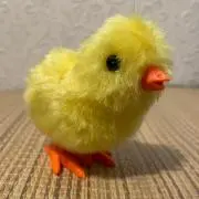 ひよこ