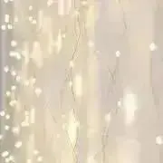 ロア ‪‪ꪔ̤の画像
