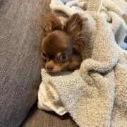 mの画像