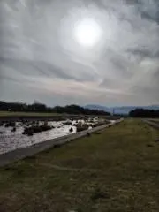 fusayukoの画像