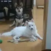 すぎＴhvnf