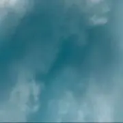 アオの画像