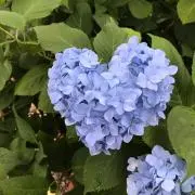 レトロ