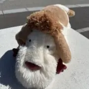 かすみの画像