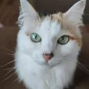 ふみちゃんの画像