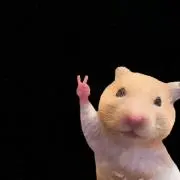 ABCDTHC