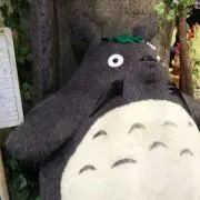 TOMOの画像