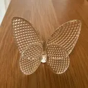 くろねこの画像