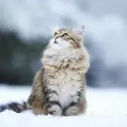 零の画像