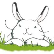 うさ