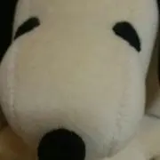 ★スヌ★絶賛断捨離中の画像