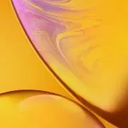 redの画像