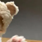 イトの画像