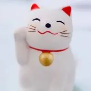 nana2525✩.*˚の画像