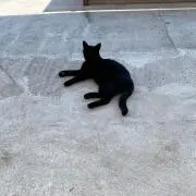 あ