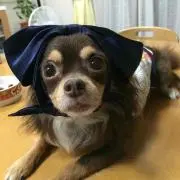 ☆さなチョコ☆の画像