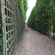 takamitsuの画像