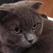 断捨離中