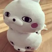 なななの画像