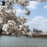 ショータ