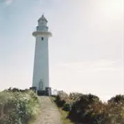 Arowanaの画像