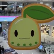 瑞樹の画像