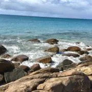 Noa