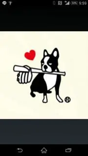 お肉は赤身
