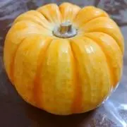 かぼちゃんの画像