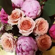 さくらもち　【プロフ必読】の画像