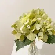 as⭐︎の画像