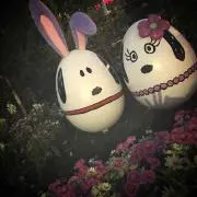 83eの画像