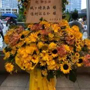 カカオカの画像