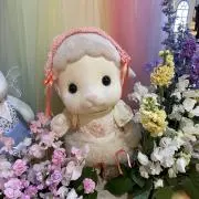 ema‪の画像