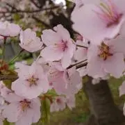 ともっち