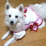 みーこ