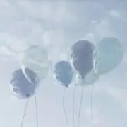 ひな。の画像