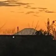 くりっぷの画像