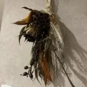 こみの画像