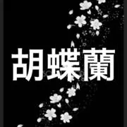 胡蝶蘭の画像