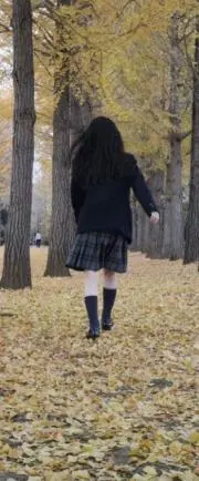Shizuka19の画像