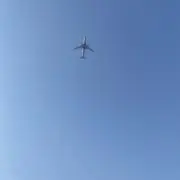 ももの画像