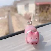 やわもちの画像